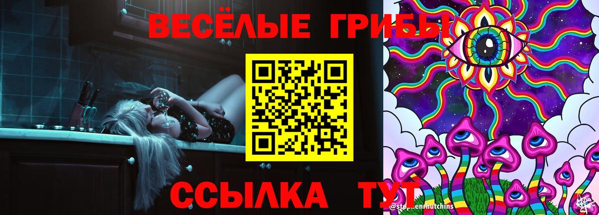 Псилоцибиновые грибы Cubensis Томск